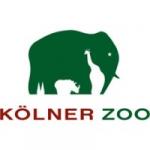 Zoo-News-247.de - Zoo Infos & Zoo Tipps | Foto: Klner Zoo .