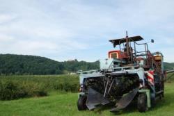Foto: Ernte der  |  Landwirtschaft News & Agrarwirtschaft News @ Agrar-Center.de
