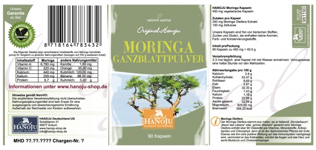 Gesundheit Infos, Gesundheit News & Gesundheit Tipps | Moringa oleifera bei HANOJU