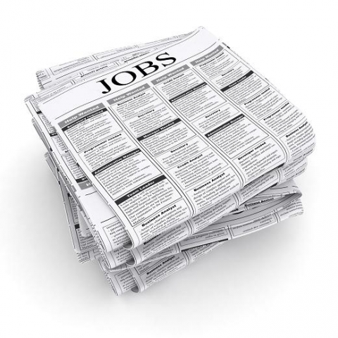 Deutsche-Politik-News.de | .Net Jobs bei MSAmbition