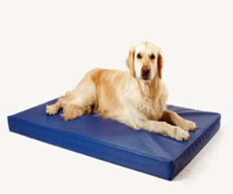 Hunde Infos & Hunde News @ Hunde-Info-Portal.de | DoggyBed Basic Style Hundematte