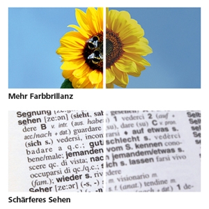Deutsche-Politik-News.de | Farbbrillanter, schrfer, klarer – i.Scription® Brillenglser von ZEISS
