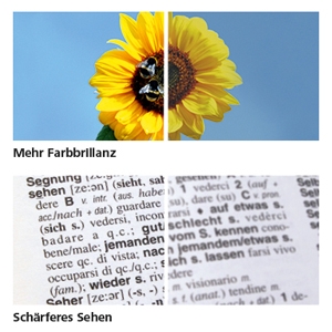 Gesundheit Infos, Gesundheit News & Gesundheit Tipps | Farbbrillanter, schrfer, klarer – i.Scription® Brillenglser von ZEISS