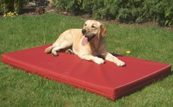 Hunde Infos & Hunde News @ Hunde-Info-Portal.de | DoggyBed Basic Style