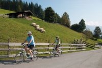 Koeln-News.Info - Kln Infos & Kln Tipps | Mit dem Fahrrad ber die Alpen. Urige Almen sind mit dem E-Bike bequem zu erreichen. 