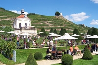 Historisches @ Historiker-News.de | Kulinarische Weinwanderung: Weingenuss und Wandern gehören in Radebeul zusammen. Der Weinwanderweg 
