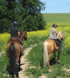 Ostsee-Infos-247.de- Ostsee Infos & Ostsee Tipps | Reiterreise-Tipp auf Mit-Pferden-reisen.de: Dalwitz in Mecklenburg-Vorpommern 