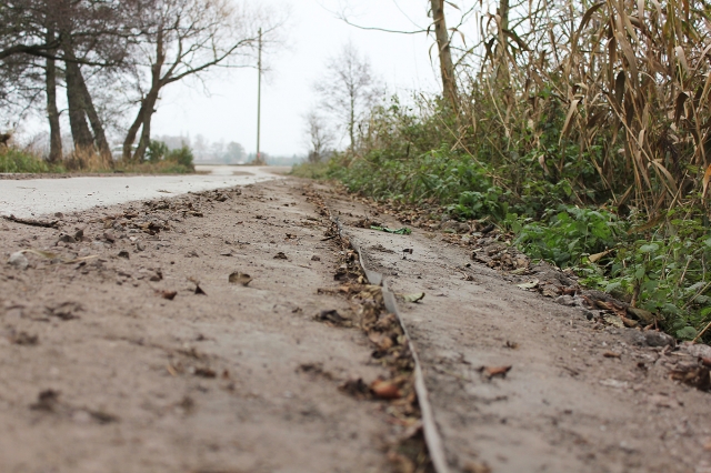 Deutsche-Politik-News.de | Durch den Einbau von RootBarrier® Wurzelschutzfolien auf der Basis von DuPontTM Xavan® kann das Wurzelwachstum fachgerecht kontrolliert und vom Fahrbahnkrper abgehalten werden. - Einbau Wurzelschutz lndlicher Wegebau, Wusterwitz.