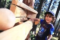 Oesterreicht-News-247.de - sterreich Infos & sterreich Tipps | Familienurlaub Tirol: Der Kugelwald am Glungezer bietet Spielspaß fr Groß und Klein. 