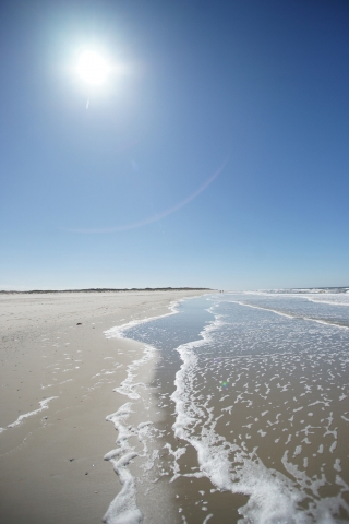 Deutsche-Politik-News.de | © Dirk Topel - Die Nordsee GmbH