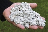 Koeln-News.Info - Kln Infos & Kln Tipps | Raumklima: Die News von gestern als Baustoff von morgen: Wohngesunde Recyclingcellulose aus Zeitungspapier. 