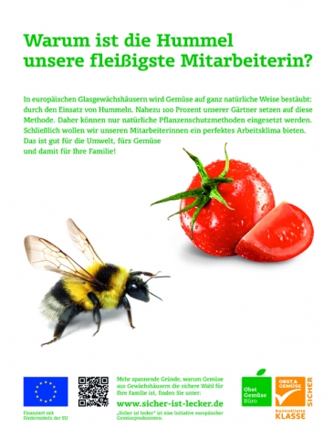 CMS & Blog Infos & CMS & Blog Tipps @ CMS & Blog-News-24/7.de | Anzeigenmotiv der Kampagne 