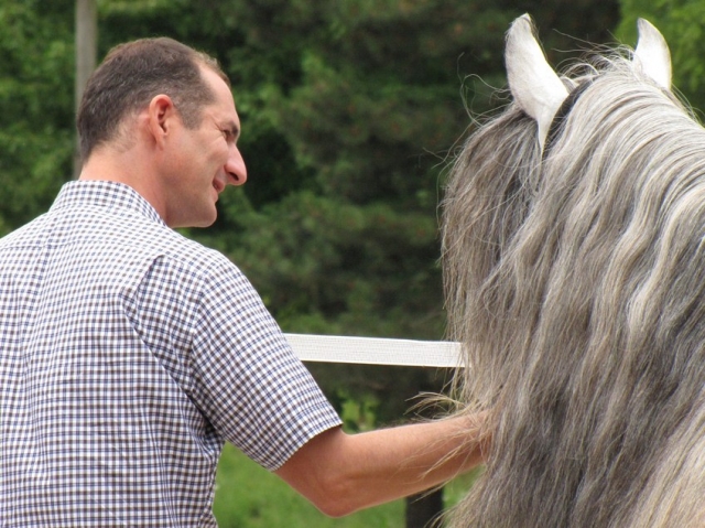 Deutsche-Politik-News.de | Fhrungskrfteentwicklung mit Pferden ist ein effizientes Management-Training