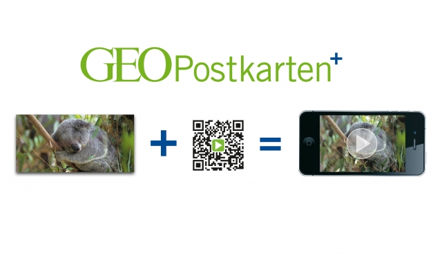 Handy News @ Handy-Infos-123.de | Das beeindruckende GEO-Tierfoto von der Vorderseite der Panorama-Postkarte 