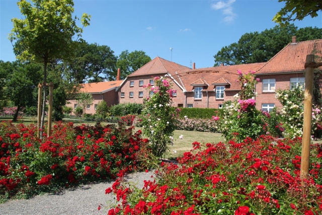 Tier Infos & Tier News @ Tier-News-247.de | Rosengartenansicht vom Kleintierkrematorium
