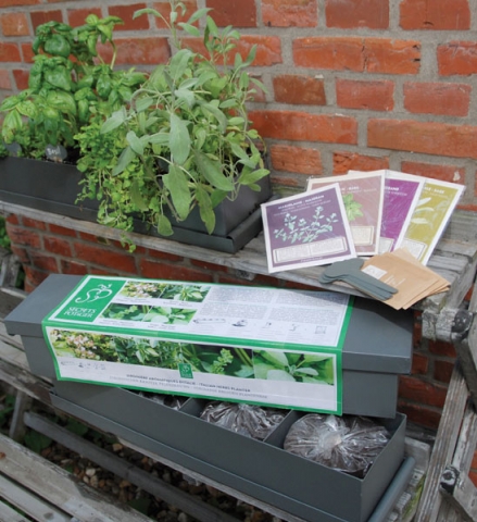 Pflanzen Tipps & Pflanzen Infos @ Pflanzen-Info-Portal.de | Kruter-Garten-Set von Greenbop
