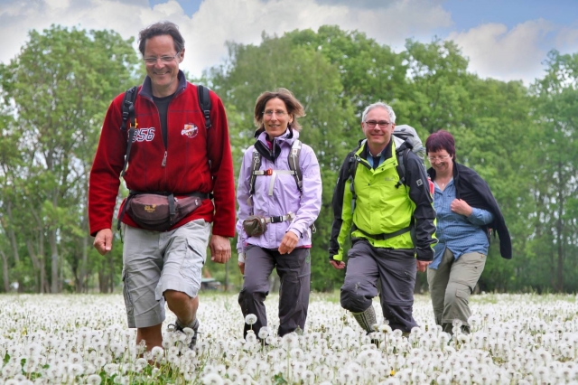 Tickets / Konzertkarten / Eintrittskarten | Wanderer in Deutschland