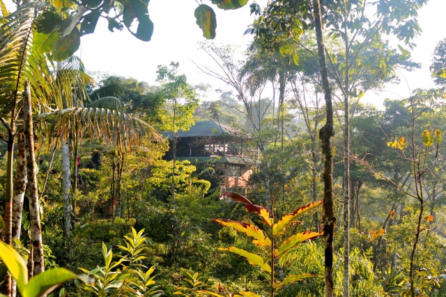 Auto News | Paradies inmitten des Regenwalds: Die Lodge Las Cascadas in Eucador