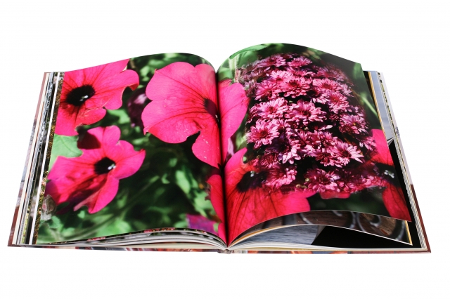 Pflanzen Tipps & Pflanzen Infos @ Pflanzen-Info-Portal.de | Das Garten-Fotobuch