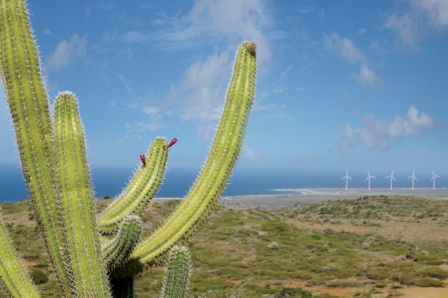 Deutsche-Politik-News.de | Aruba fr mehr Nachhaltigkeit - Ausbau der lokalen Stromgewinnung durch Wind- und Solar-Anlagen