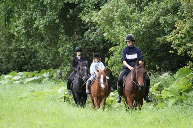 Grossbritannien-News.Info - Grobritannien Infos & Grobritannien Tipps | Ausreiten in Cumbria - sdlich von Schottland