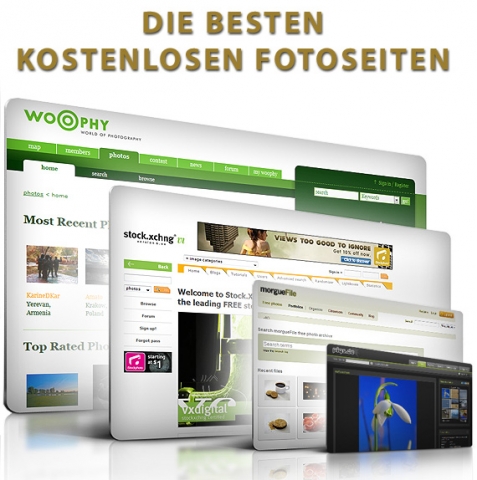 Pflanzen Tipps & Pflanzen Infos @ Pflanzen-Info-Portal.de | Kostenlose Fotos fr Unternehmen