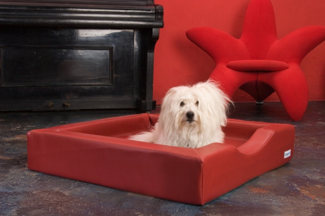 Hunde Infos & Hunde News @ Hunde-Info-Portal.de | DoggyBed Compact Style