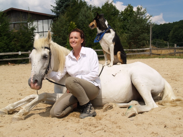 Tier Infos & Tier News @ Tier-News-247.de | Ein unzertrennliches Team: Mensch, Pferd und Hund