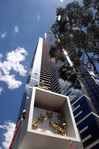 Australien News & Australien Infos & Australien Tipps | Melburnians love Bees: Sie haben Bienenstcke auf den Dchern und schmcken damit sogar ihre Wolkenkratzer.