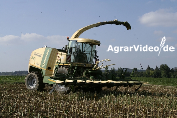 Landwirtschaft News & Agrarwirtschaft News @ Agrar-Center.de | Maisernte hautnah