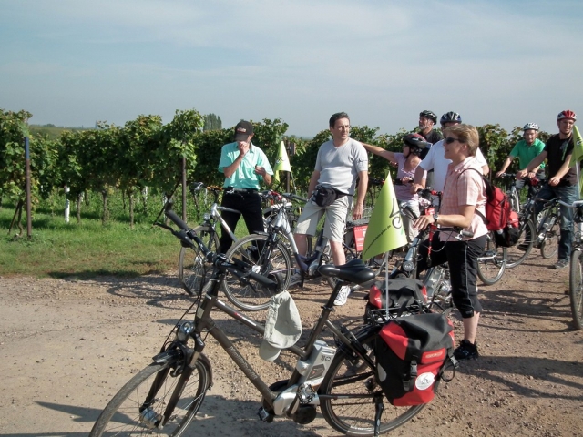 News - Central: Der Sptsommer  mit der Weinlese ist eine ideale Zeit, die Deutsche Weinstraße genussvoll beim Radeln und Wandern zu entdecken. Gruppen  wollen die Pfalz zunehmend  mit  Pedelecs erkunden und genießen.