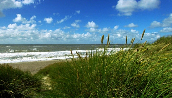 Auto News | Die Themen Nachhaltigkeit und Umweltschutz spielen fr die Gemeinde der Nordseeinsel Juist eine große Rolle