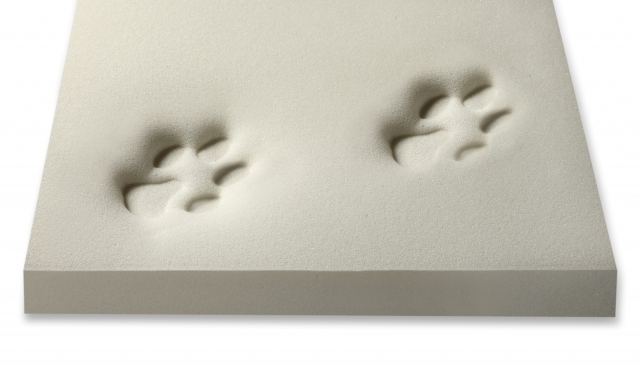 Katzen Infos & Katzen News @ Katzen-Info-Portal.de | Neue orthopdische Hundematte aus 100% Visko-Schaum
