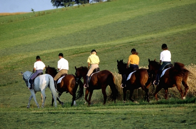 Landwirtschaft News & Agrarwirtschaft News @ Agrar-Center.deIm Pferdesattel durch die Landschaft. (Foto: reitarena.com)