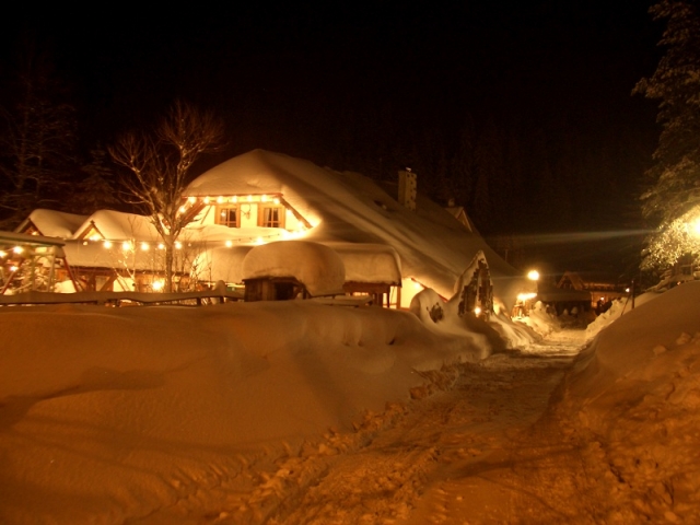 Tickets / Konzertkarten / Eintrittskarten | Wintertraum