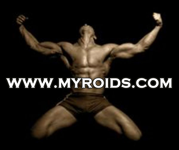 Sport-News-123.de | MyRoids Store