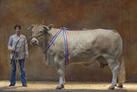 Landwirtschaft News & Agrarwirtschaft News @ Agrar-Center.de | Foto: Das Zentralmassiv geh�rt zu den Regionen Frankreichs mit der gr��ten Rindfleischproduktion in Europa. Mitten im Herzen dieser Region findet zum 19. Mal der >> Sommet de l�Elevage << statt, zu dem �ber 1.200 Aussteller aus allen Bereichen der Landwirtschaft erwartet werden.
