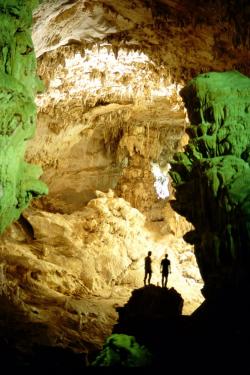 Orchideen-Seite.de - rund um die Orchidee ! | Foto: Cavern Verapaces.