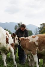 Foto: Landwirte aus der Region liefern frische Heumilch an die Naturkserei TegernseerLand. |  Landwirtschaft News & Agrarwirtschaft News @ Agrar-Center.de