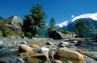 Deutsche-Politik-News.de | 