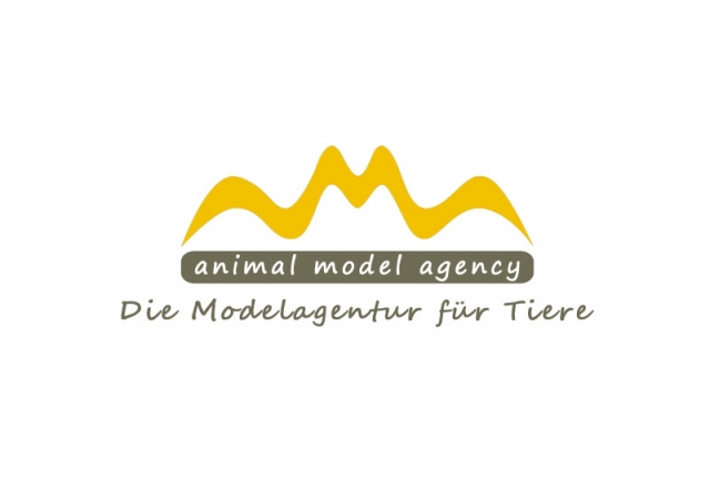 Tier Infos & Tier News @ Tier-News-247.de | AMA animal model agency