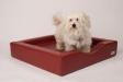 Hunde Infos & Hunde News @ Hunde-Info-Portal.de | DoggyBed Hunde Komfortbetten