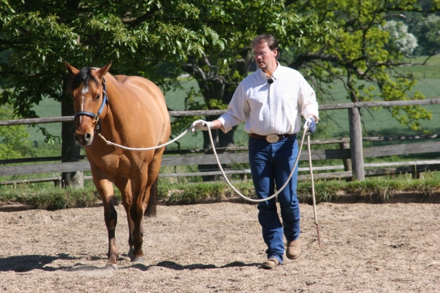 Landwirtschaft News & Agrarwirtschaft News @ Agrar-Center.deGentle-Horse-Training