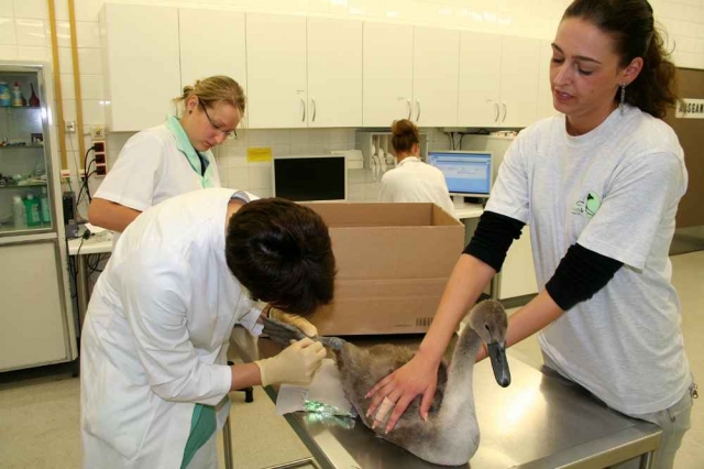 Tier Infos & Tier News @ Tier-News-247.de | aktion tier - menschen f�r tiere e.V.