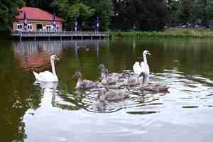 Tier Infos & Tier News @ Tier-News-247.de | aktion tier - menschen f�r tiere e.V.