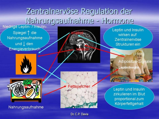 Health & Beauty Group AG | Freie-Pressemitteilungen.de