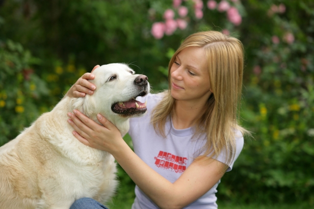 Hunde Infos & Hunde News @ Hunde-Info-Portal.de | WZF GmbH / Zentralverband Zoologischer Fachbetriebe e.V. (ZZF)