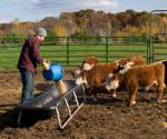 Foto: Farm- und Rancharbeit im Ausland kann jeder machen. |  Landwirtschaft News & Agrarwirtschaft News @ Agrar-Center.de