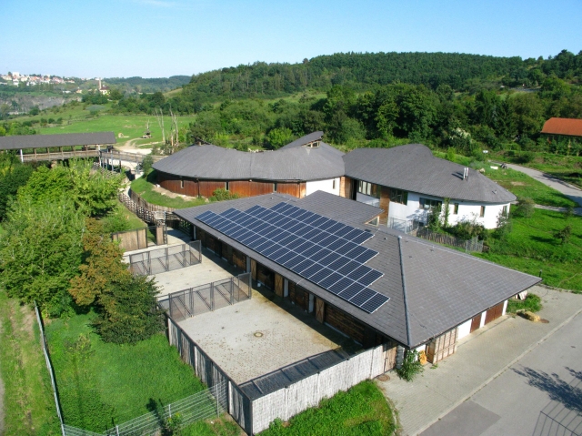 Alternative & Erneuerbare Energien News: IBC SOLAR