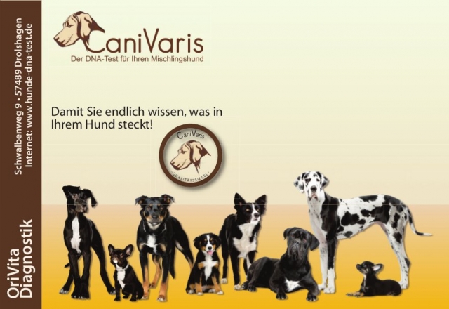 Hunde Infos & Hunde News @ Hunde-Info-Portal.de | OriVita Diagnostik